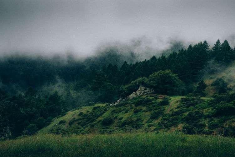 怎样充值最安全的短信验证码轰炸平台